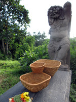 Bali aga bowls are made of the local straw ata.